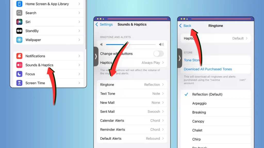 Screenshots Featuring Steps to Change Ringtone - How to Change Ringtone on iPhone?